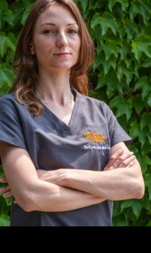 Dr. Navarini Lara