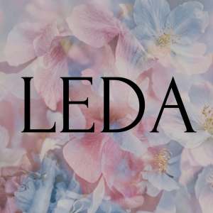 LEDA Clinic