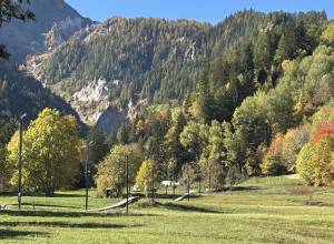 Dott. Giovanni Giorgio Rapuzzi